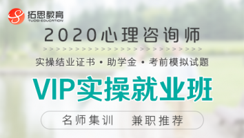 心理师-VIP实操就业班