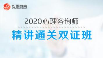 心理-精讲通关双证班